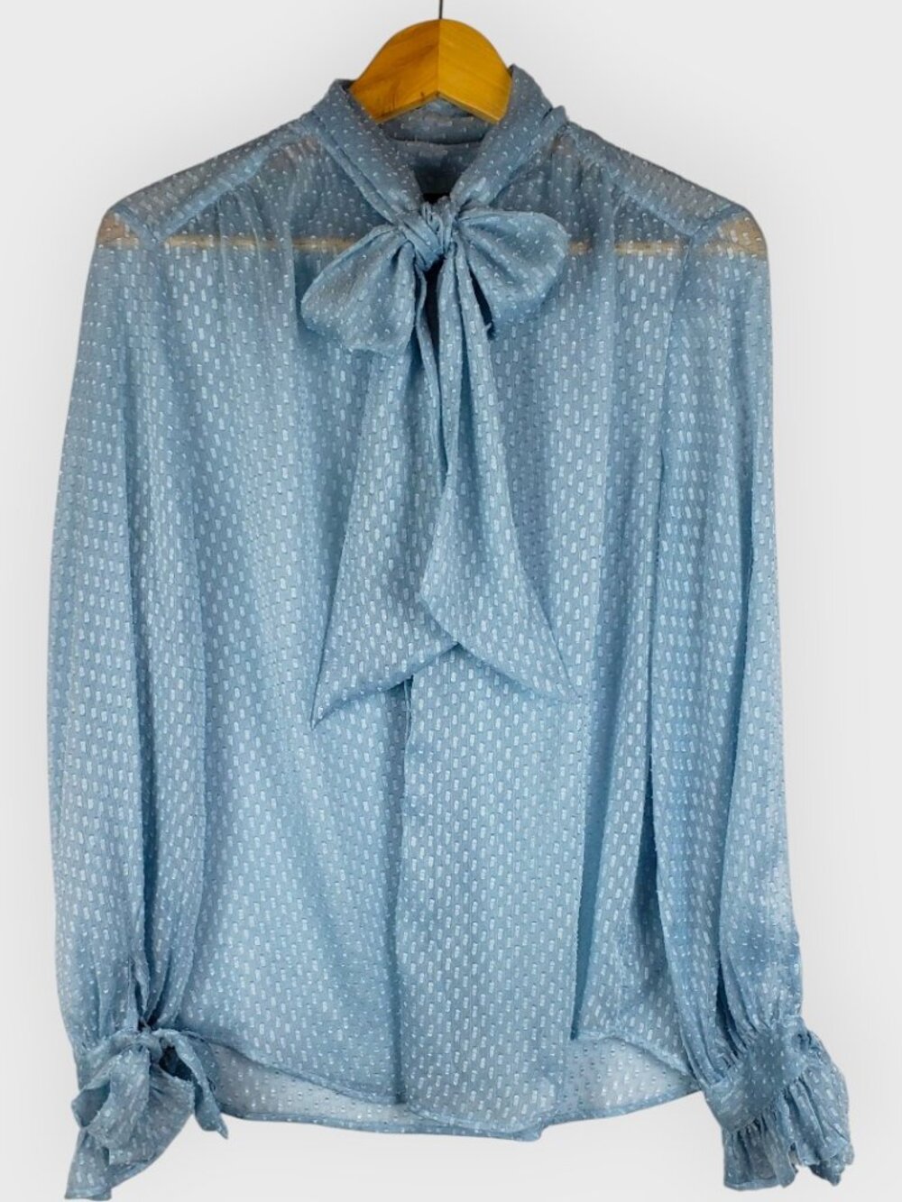 Banana Republic Baby Blue Sheer Blouse